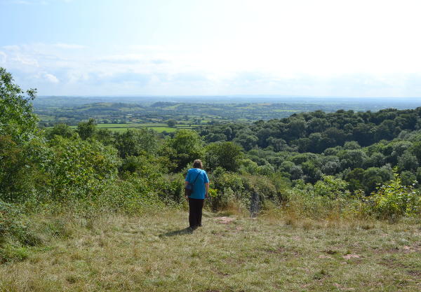 A view over the Somerset countryside